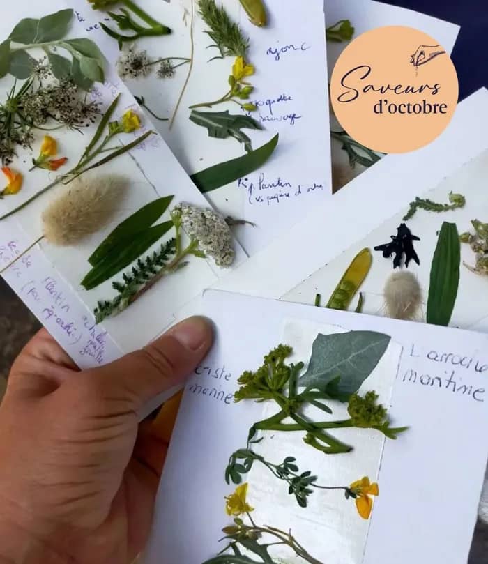 Illustration de l'événement : Enquête au village - Saveurs d'octobre