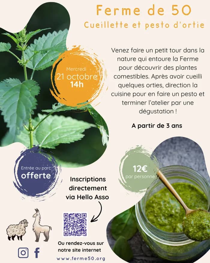 Illustration de l'événement : Ateliers familles - Cueillette et pesto d'orties