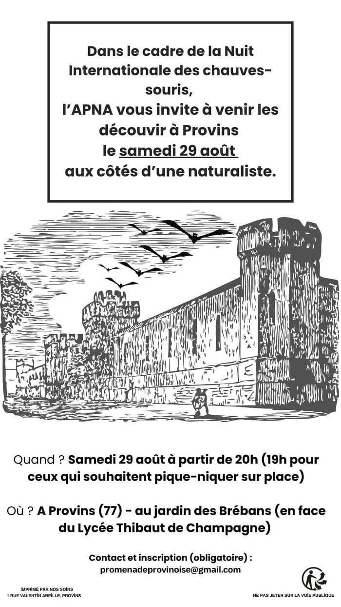 Illustration de l'événement : A la découverte des chauves-souris