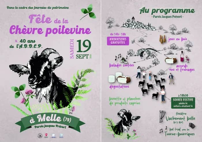 Illustration de l'événement : Fête de la chèvre poitevine