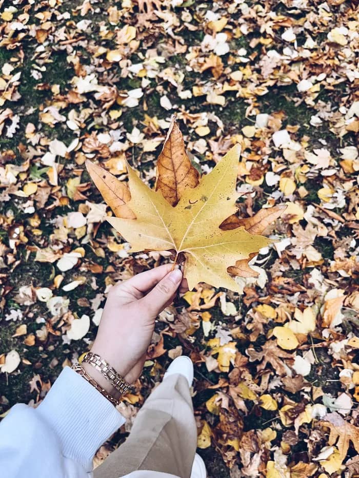 Illustration de l'événement : Atelier artistique "L'automne"