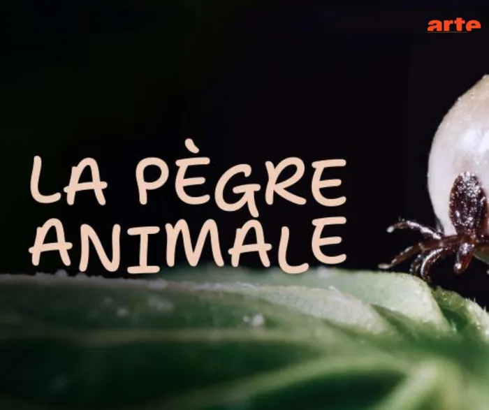 Illustration de l'événement : Projection du documentaire de Paul-Aurélien Combre « La pègre animale, la vie secrète des parasites » -