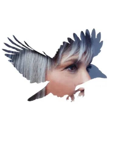 Illustration de l'événement : ZAZIE