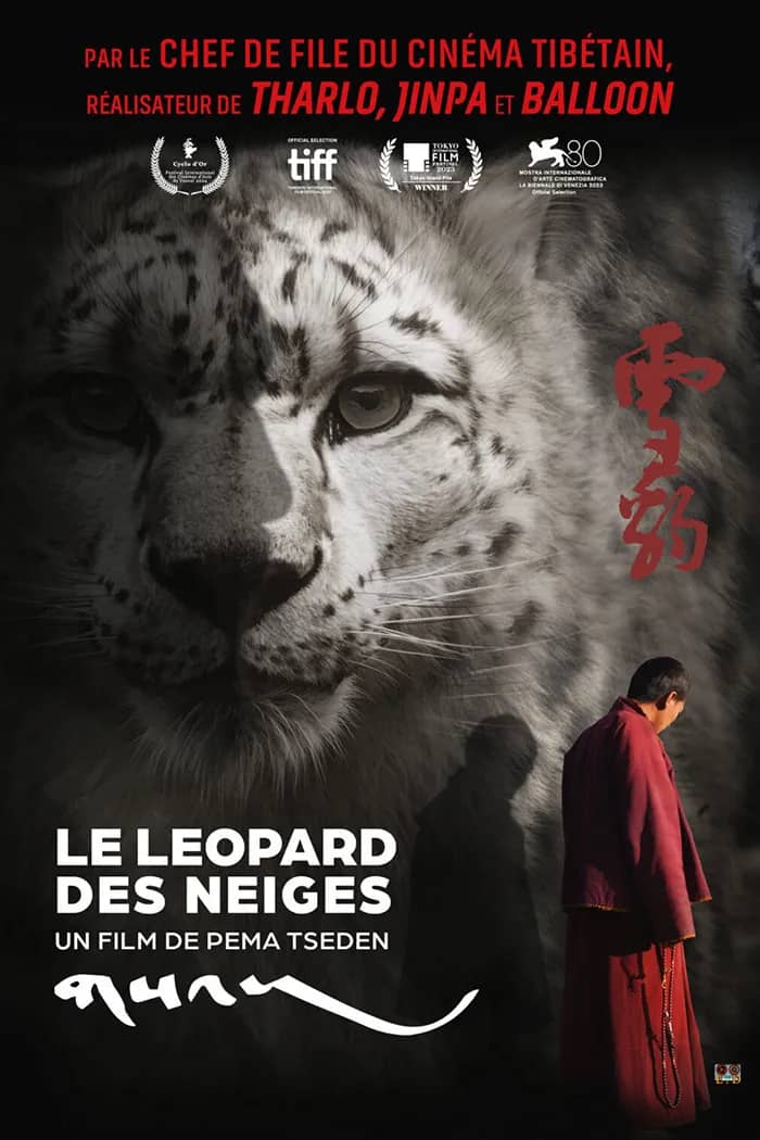 Illustration de l'événement : Le léopard des neiges