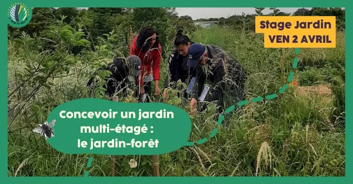 Illustration de l'événement : Stage 1 jour : Concevoir un jardin multi-étagé : le jardin-forêt