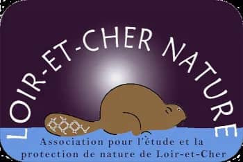 Illustration de l'événement : La Nuit de la chauve-souris