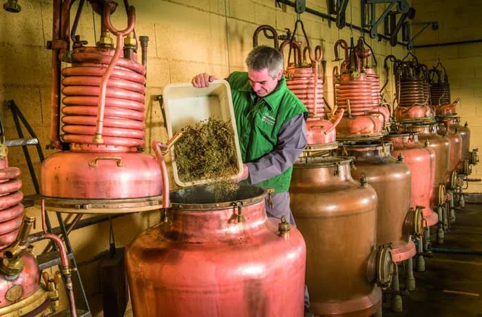 Illustration de l'événement : Visite guidée de la Distillerie - Verveine du Velay Pagès