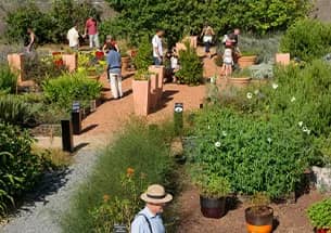 Illustration de l'événement : VISITE AUX JARDINS DU MUSÉUM