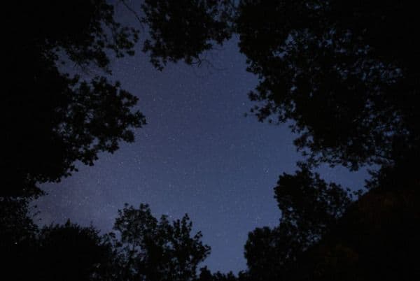 Illustration de l'événement : Que nous réserve le paysage nocturne ce soir?