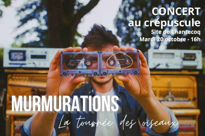 Illustration de l'événement : Concert au crépuscule "MURMURATIONS" - La tournée des oiseaux