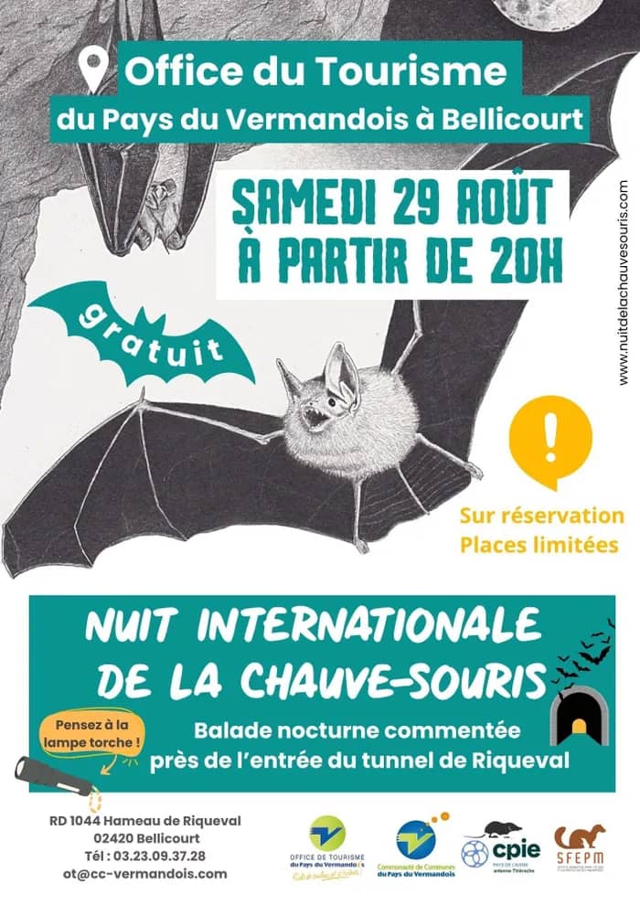 Illustration de l'événement : Nuit Internationale de la Chauve-Souris à Bellicourt