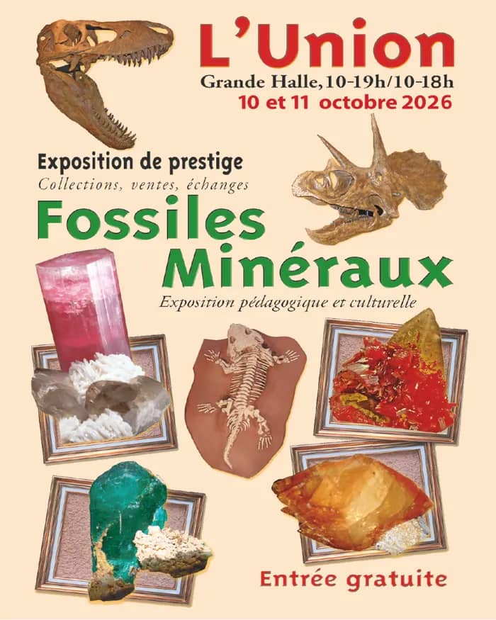 Illustration de l'événement : 24e salon Minéraux et Fossiles de L'Union (31)