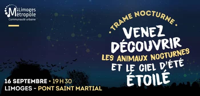 Illustration de l'événement : Trame nocturne - Venez découvrir les animaux nocturnes et le ciel d'été étoilé