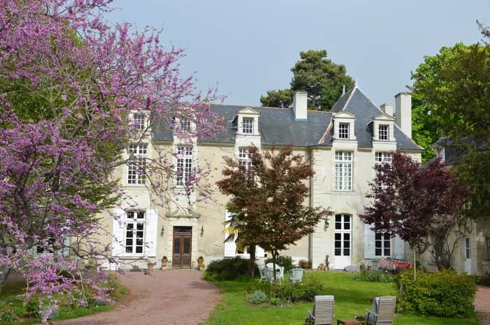 Illustration de l'événement : Visite commentée : le château du Bourg-Joly