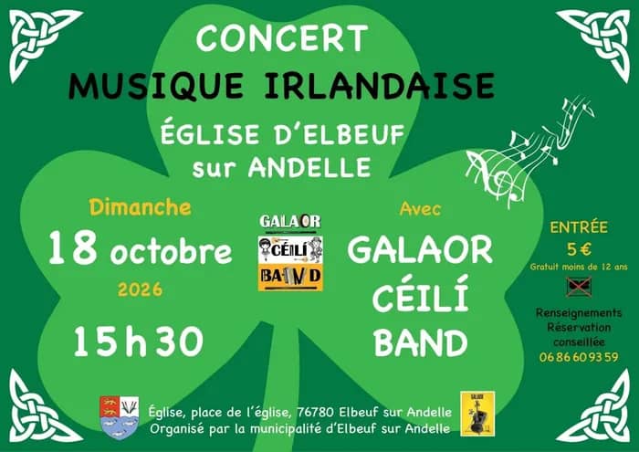 Illustration de l'événement : Concert de musique irlandaise