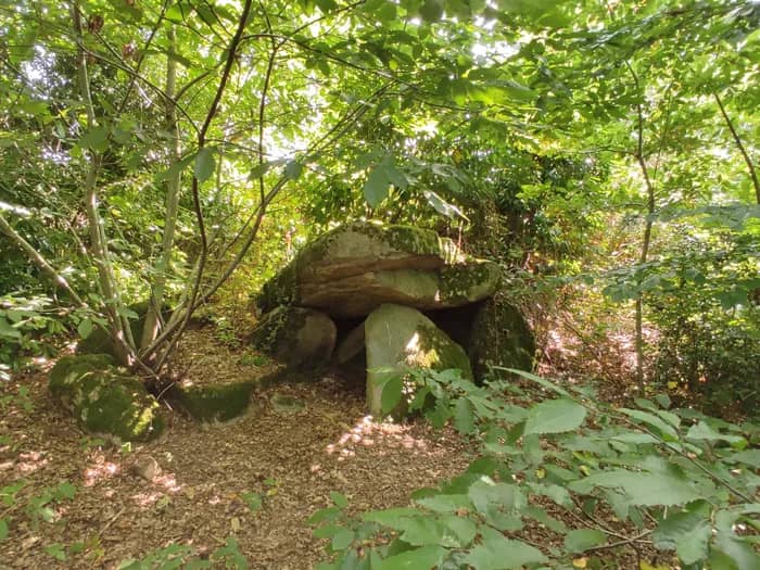 Illustration de l'événement : Découverte du Dolmen du Palastre