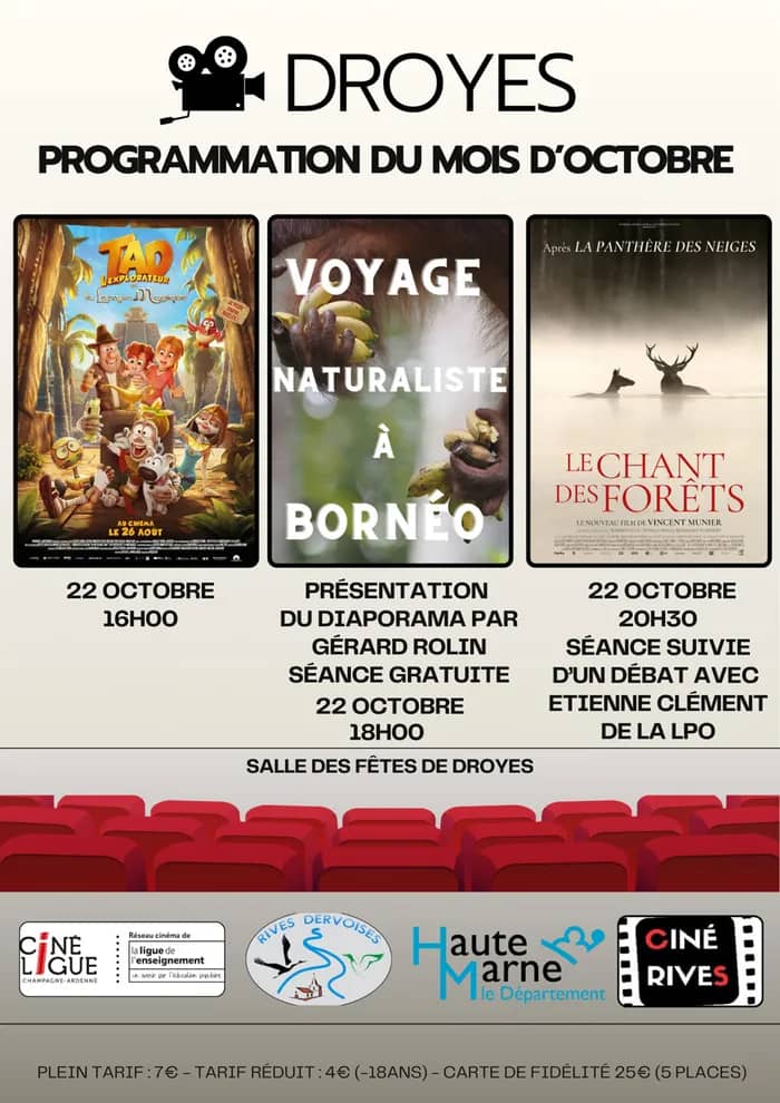 Illustration de l'événement : SPECIAL FETE DE LA GRUE Cinéma à Droyes (salle des fêtes)