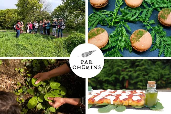 Illustration de l'événement : Cuisinez vos bouchées apéritives et cocktail à base de plantes sauvages