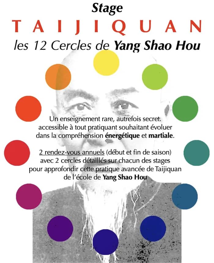 Illustration de l'événement : Stage de Taijiquan (Tai Chi Chuan) Martial & Santé
