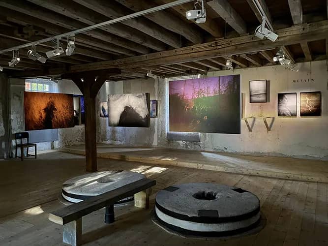 Illustration de l'événement : Exposition Grain & Graines de regards