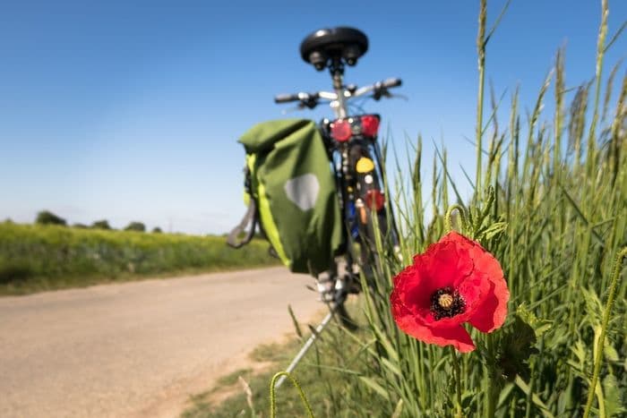 Illustration de l'événement : Balades découvertes du territoire à vélo