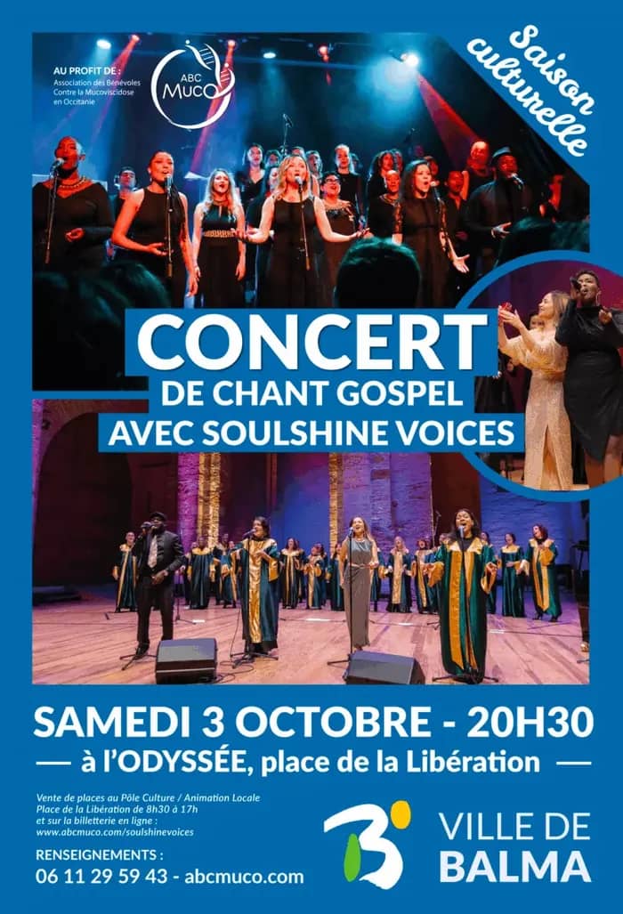 Illustration de l'événement : Concert de Gospel avec Soulshine Voices - Samedi 3 octobre