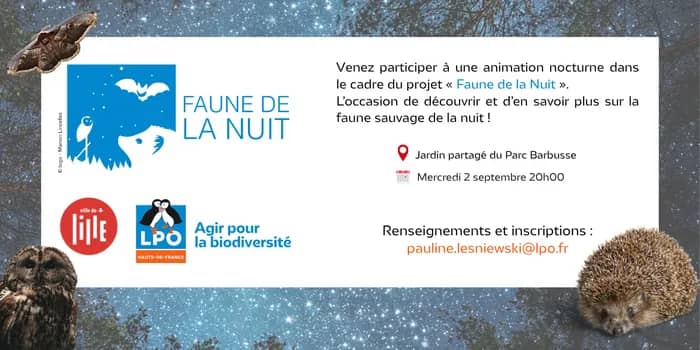 Illustration de l'événement : À la découverte de la faune nocturne