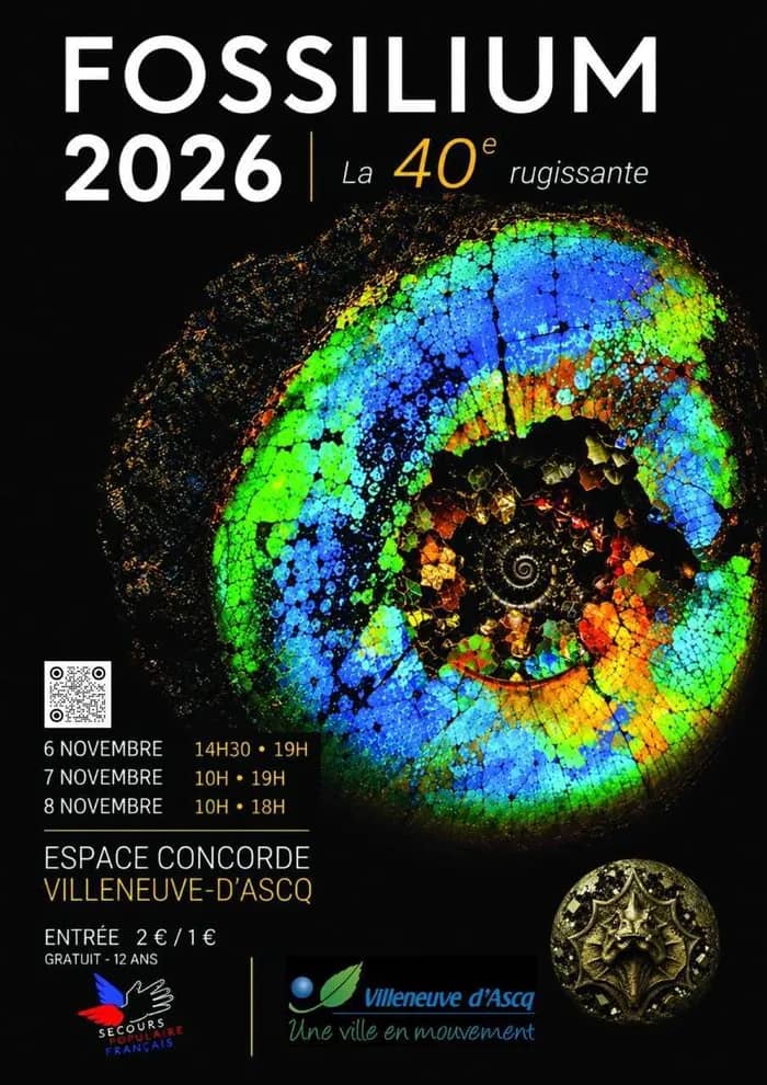 Illustration de l'événement : 40 ans de Fossilium : la Côte d’Opale raconte son histoire