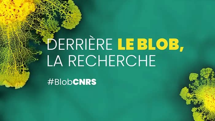 Illustration de l'événement : Derrière le blob, la recherche