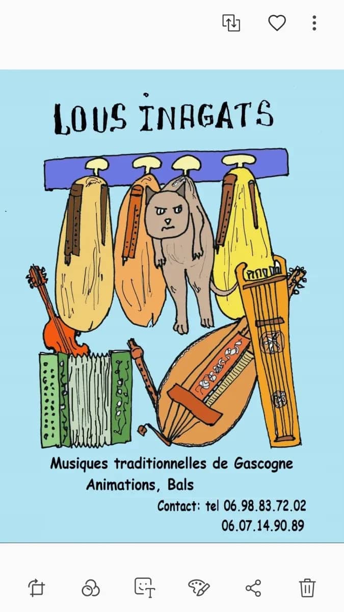 Illustration de l'événement : Bal Gascon du Téléthon