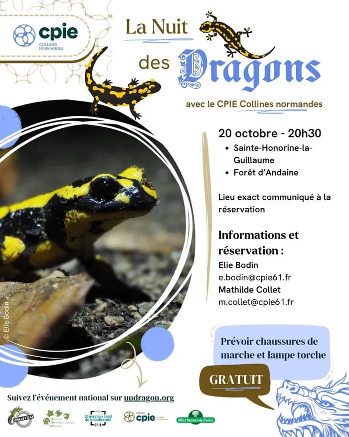 Illustration de l'événement : La nuit des dragons