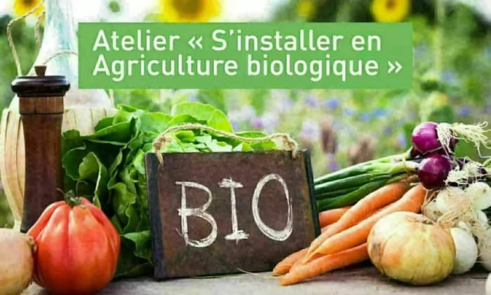 Illustration de l'événement : Rendez-vous découverte s'installer en Agriculture biologique en Vendée
