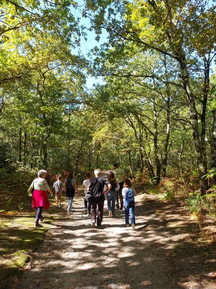 Illustration de l'événement : Balade commentée dans la forêt