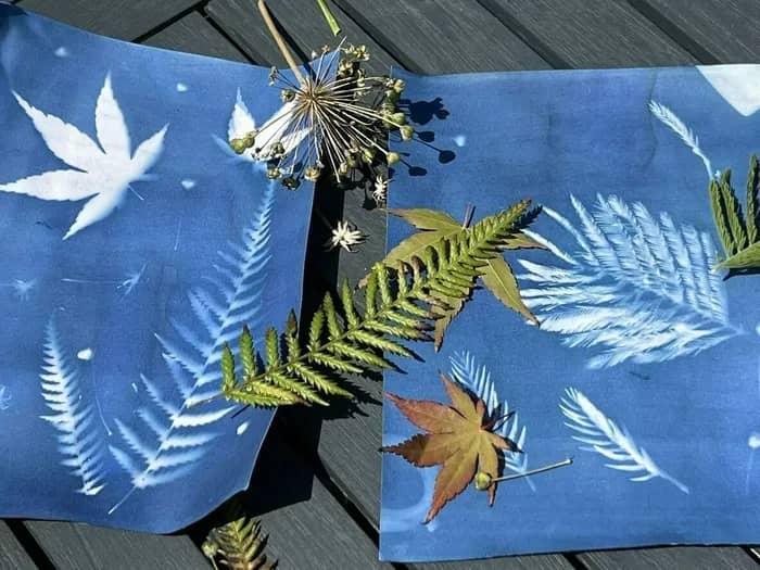 Illustration de l'événement : Découvrez la technique du cyanotype