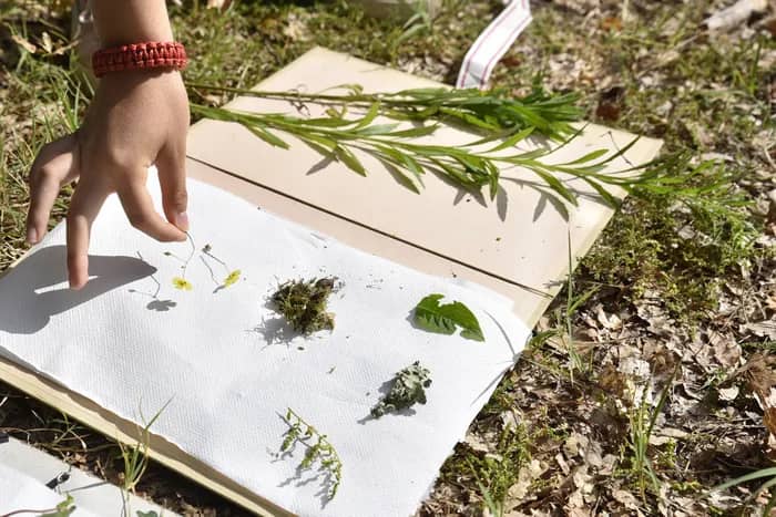 Illustration de l'événement : Atelier Jeune public Paysages empreints
