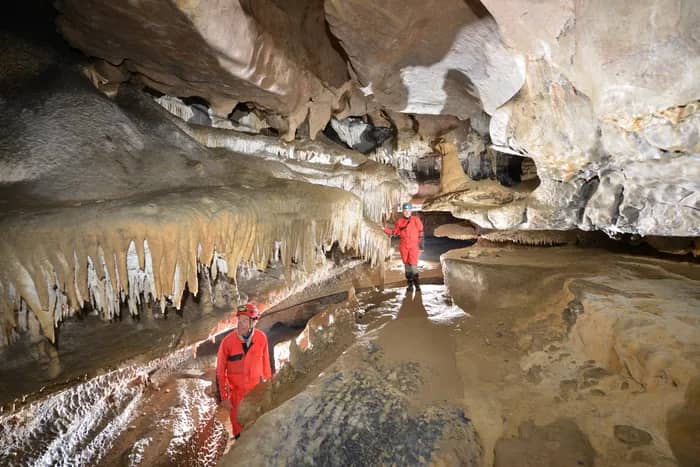 Illustration de l'événement : decouverte du monde souterrain
