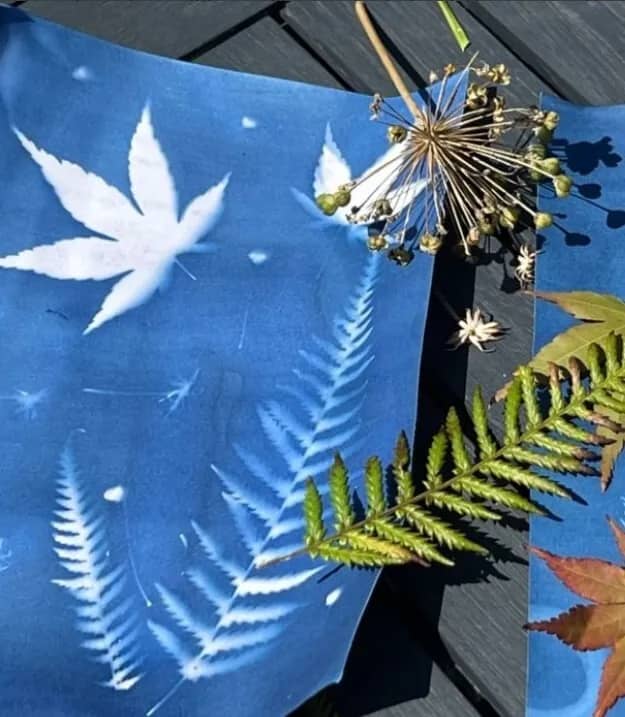 Illustration de l'événement : Atelier de cyanotype - En famille à partir de 8 ans