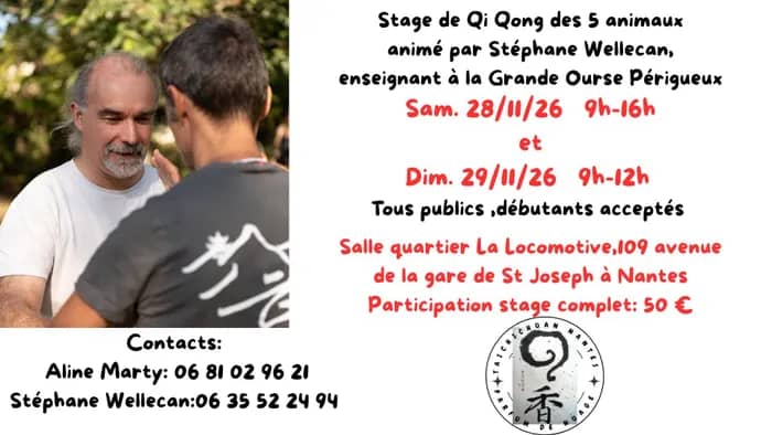 Illustration de l'événement : Stage de qi qong des 5 animaux