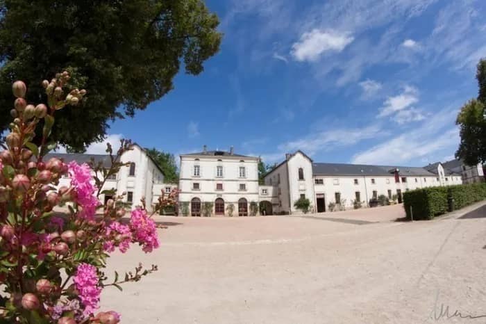 Illustration de l'événement : Visite libre du Haras National de la Vendée