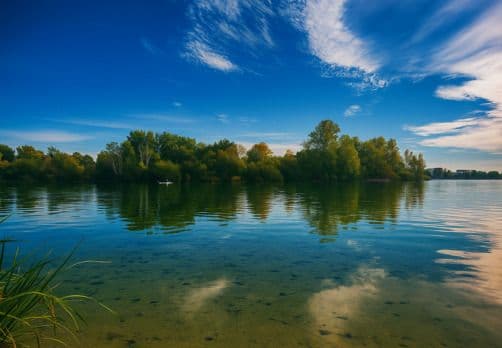 Illustration de l'événement : Au fil de l'eau : balade nature autour du lac de Bordeaux