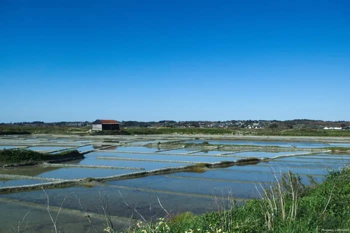 Illustration de l'événement : Visitez nos entreprises - "Les chemins du goût" à Terre de Sel