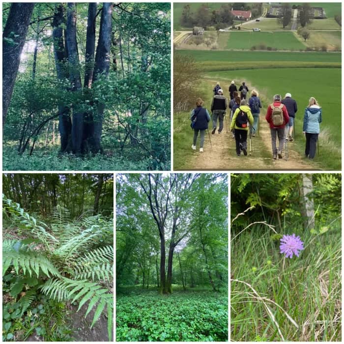 Illustration de l'événement : Partez à la découverte du patrimoine paysager et forestier