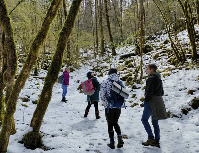 Illustration de l'événement : Balade ressourçante "La Vie secrète de la forêt"