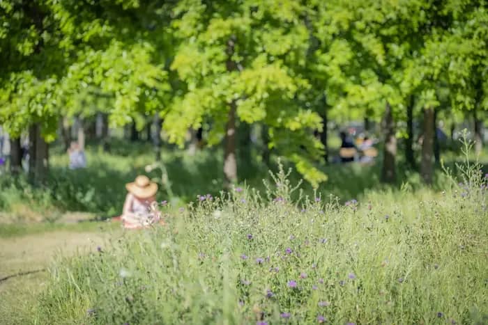 Illustration de l'événement : Bordeaux Rive droite, du jardin botanique à la caserne Niel