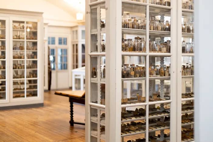 Illustration de l'événement : Visites guidées de la bibliothèque et des collections