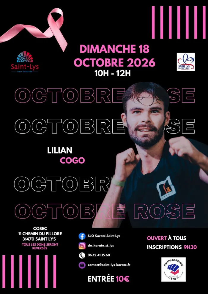 Illustration de l'événement : STAGE BODY KARATE avec Lilian