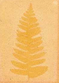 Illustration de l'événement : Atelier Anthotype – Photographier avec les plantes