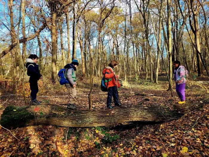 Illustration de l'événement : "Mercredi j'ai forêt !" à Saint-Germain-en-Laye
