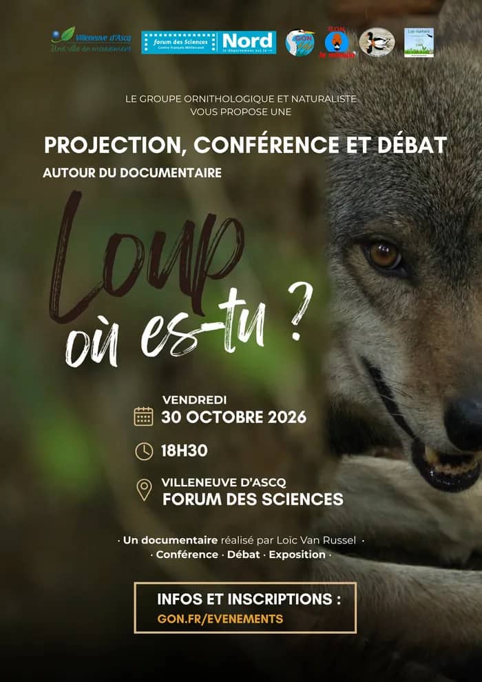 Illustration de l'événement : Le loup dans la région : projection, conférence-débat et exposition