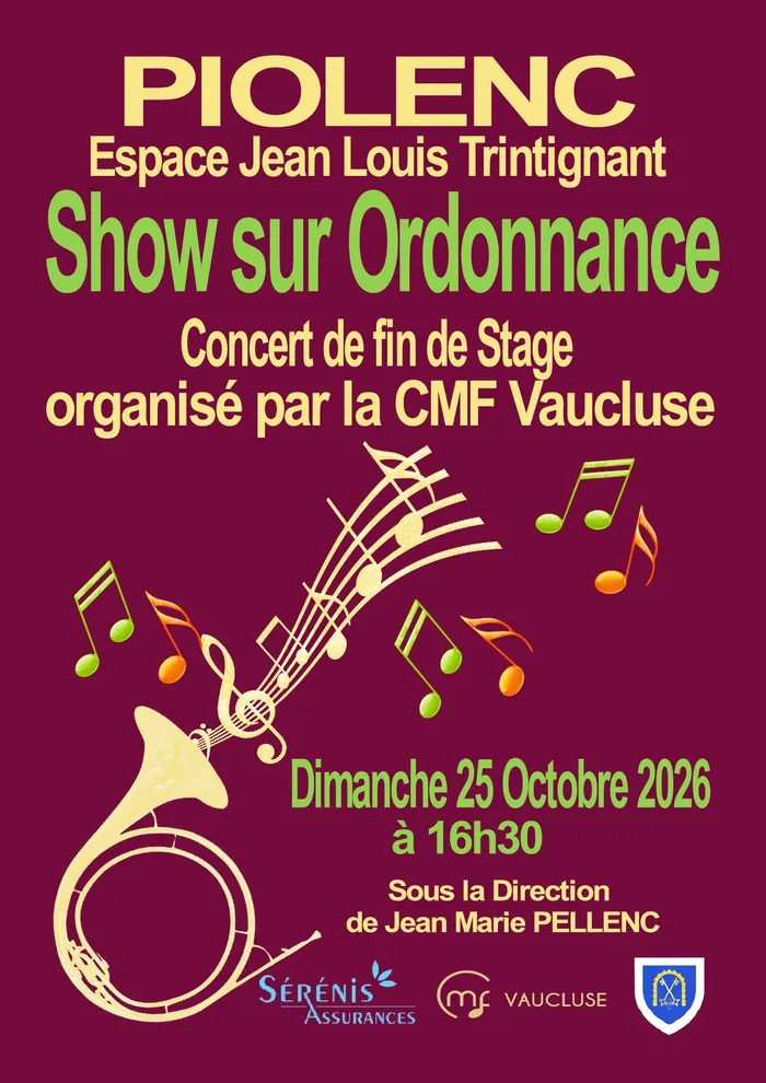 Illustration de l'événement : Concert Show sur Ordonnance